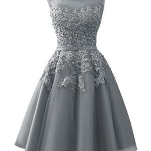 Short Homecoming Dresses Tulle Junior Prom Dress Lace Formal Evening Gowns Appliques