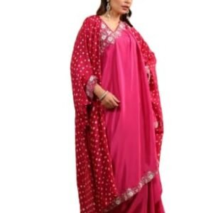 Womens Georgette Draped Dress with Floral Embroidered Lace | Soft Lightweight Indo Western Outfit for Festive Parties & Special Occasions | Stylish Dress for Girls (Rani Color)